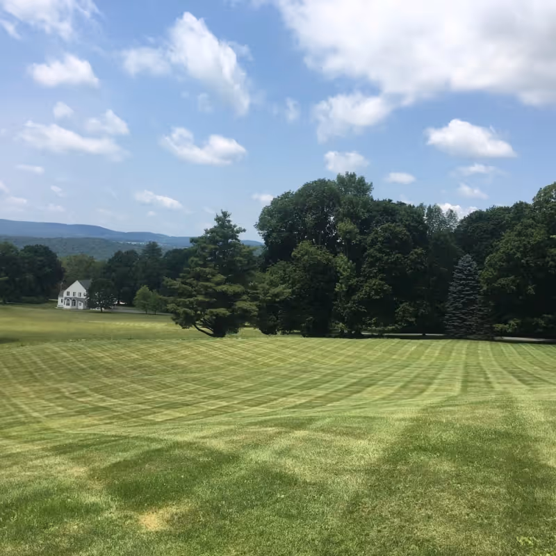 Mown rolling lawn bordered by mature trees.