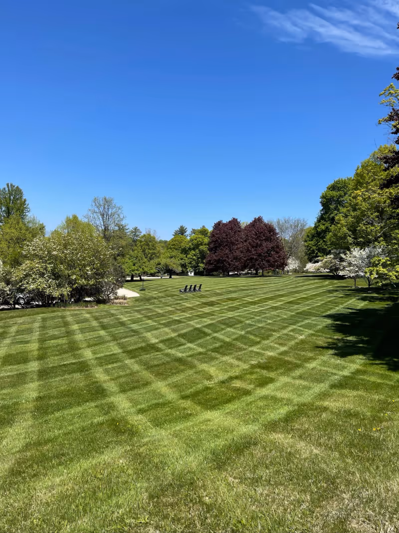 Mown residential lawn and cared-for landscape edges.