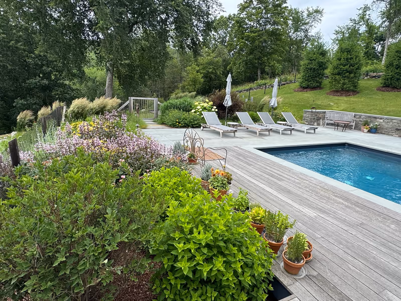Flowering perennial beds and ornamental grasses beside a swimming pool.