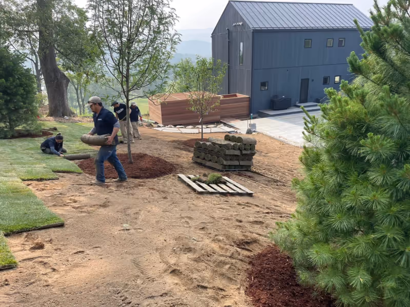 Crew working around newly planted trees and prepared soil beside a building.