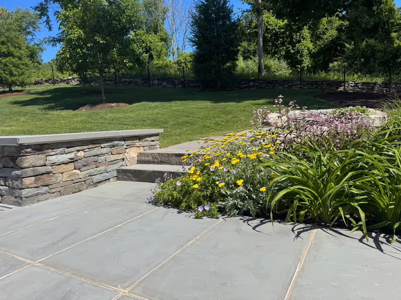 Stone terrace and steps bordered by yellow summer flowers and lawn.