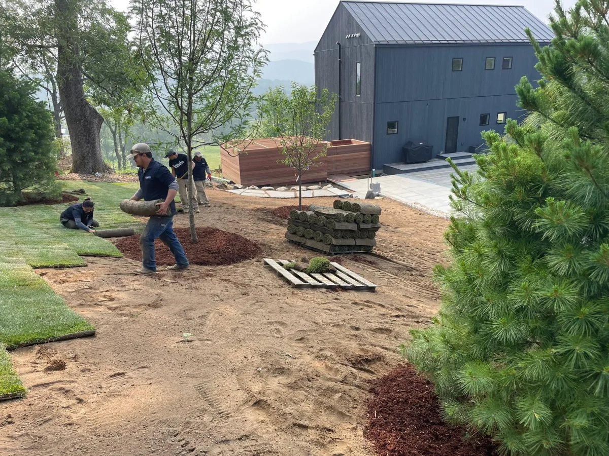 Planting and garden support work in progress.