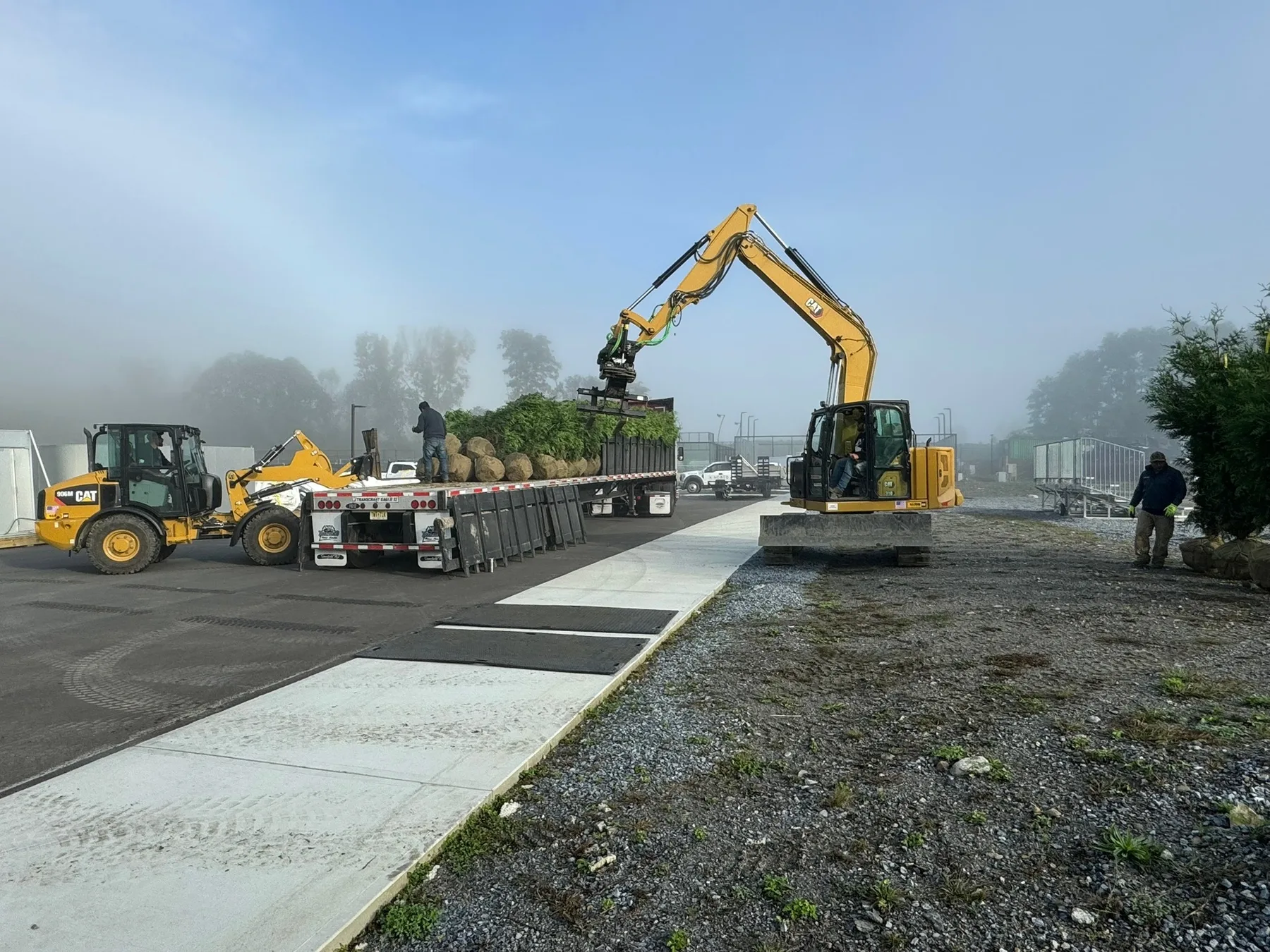 Heavy equipment unloading large trees for a commercial landscape installation.